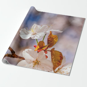 Papel De Presente Flor E Folhas Laranja De Sakura Branca E Sol