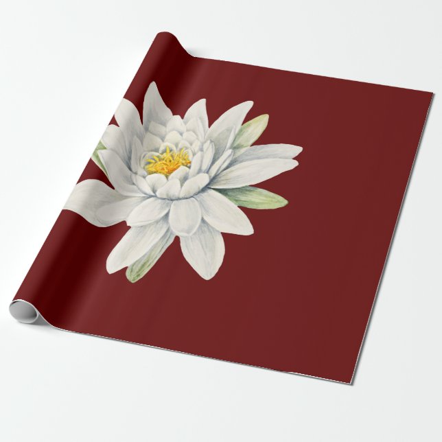 Papel De Presente Flor lírio de água branca (Desenrolado)