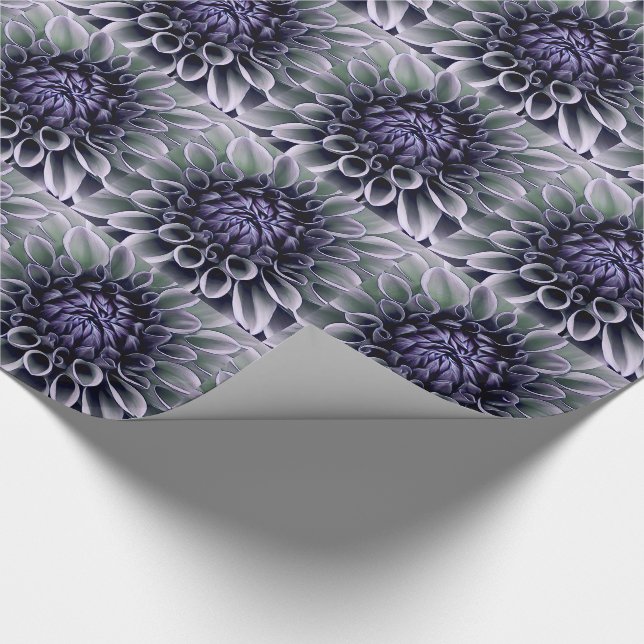 Papel De Presente Flor violeta púrpura e Lavendar (Ponta)
