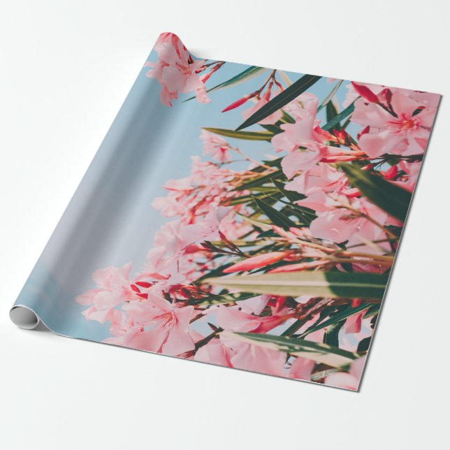 Papel De Presente Flores brancas e cor-de-rosa (Desenrolado)