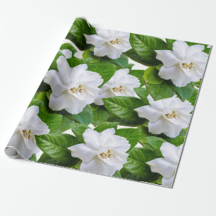 Papel De Presente Flores brancas e verdes