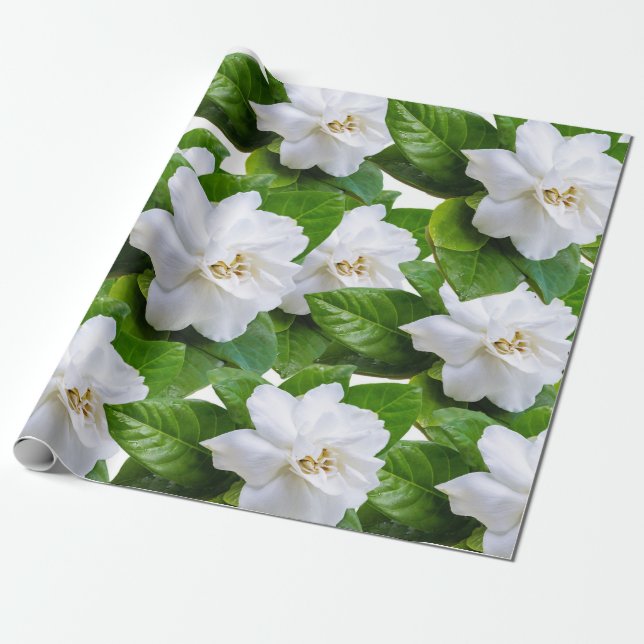 Papel De Presente Flores brancas e verdes  (Desenrolado)