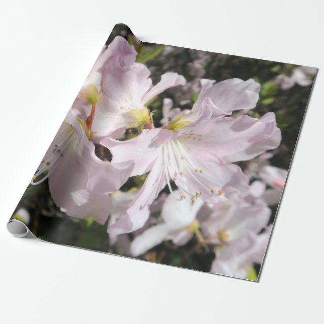 Papel De Presente Flores Brilhantes (Desenrolado)