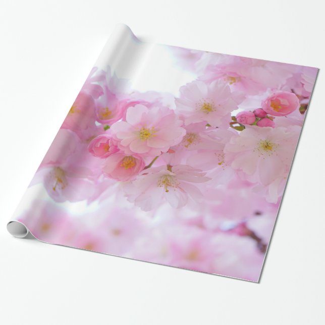 Papel De Presente Flores de cerejeira rosas pálido (Desenrolado)