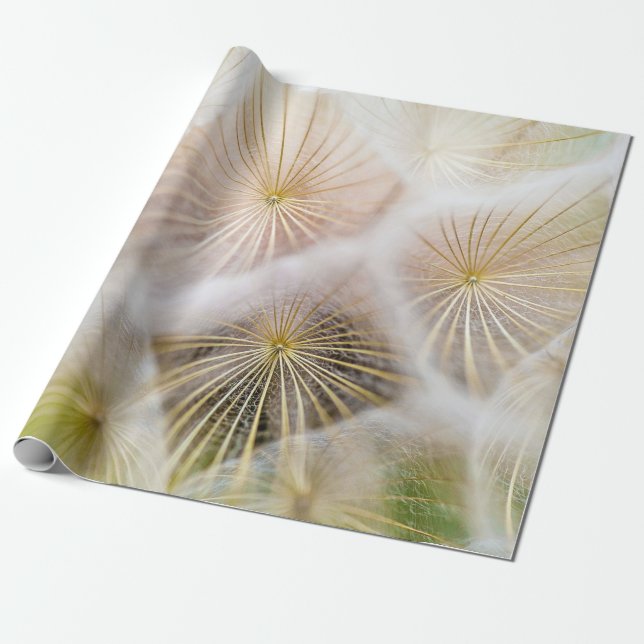 Papel De Presente Flores de dandelion brancas (Desenrolado)