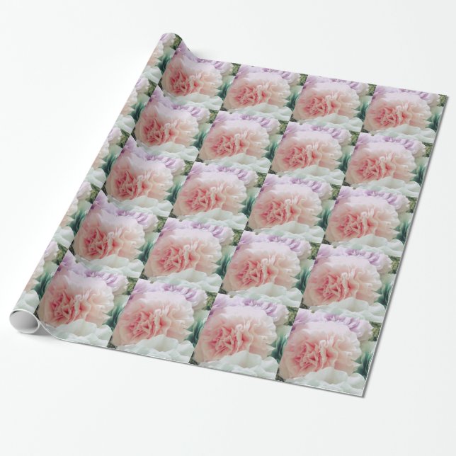 Papel De Presente Flores de Filtro de Café Macio (Desenrolado)