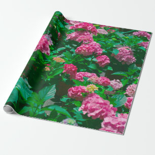 Papel De Presente Flores de Helleborus Rosa de Natal