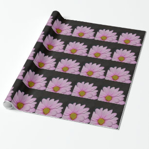 Papel De Presente Flores de Margarida em Flor Paz Amor Natureza Dest