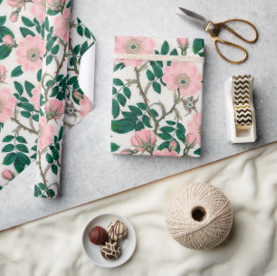 Papel De Presente Flores de Rosa selvagens cor-de-rosa e padrão de f