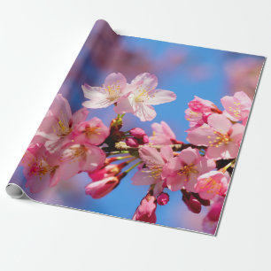 Papel De Presente Flores de Sakura Rosa Delicadas