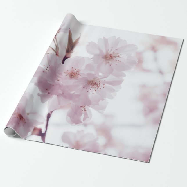 PAPEL DE PRESENTE FLORES DE SANGUE DE CÉREBRO (Desenrolado)