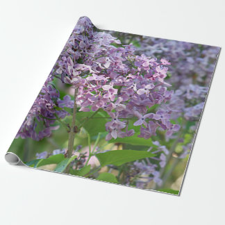Papel De Presente Flores do Lilac