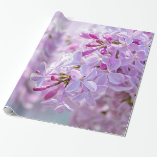 Papel De Presente Flores lilás rosa