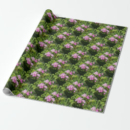 Papel De Presente Flores Primavera cor-de-rosa deliciosas