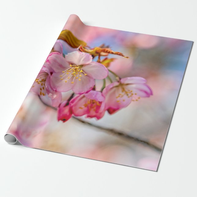 Papel De Presente Flores Sakura Luxuosas No Jardim Da Primavera (Desenrolado)