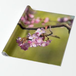 Papel De Presente Flores Sakura Novas Em Verde