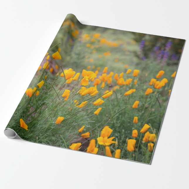 Papel De Presente flores silvestres lindas e perfumadas que crescem  (Desenrolado)