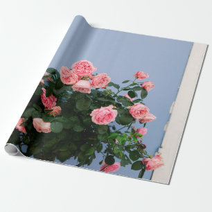 Papel De Presente Flores vermelhas com folhas verdes na parede azul