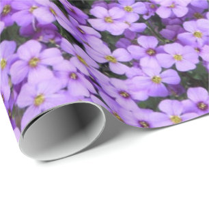 Papel De Presente Flores Violetas Violetas Violetas