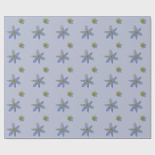 Papel De Presente florescer em branco