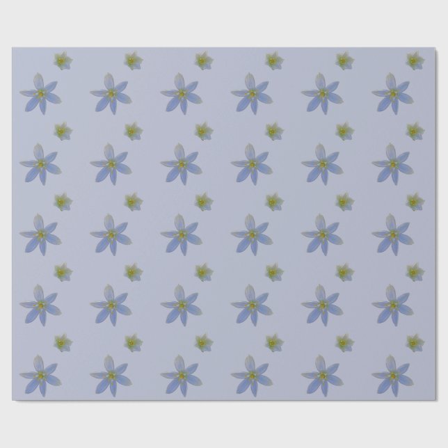 Papel De Presente florescer em branco (Aberto)