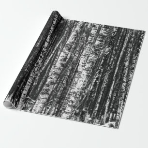 Papel De Presente Floresta abstrata preto e branco do vidoeiro