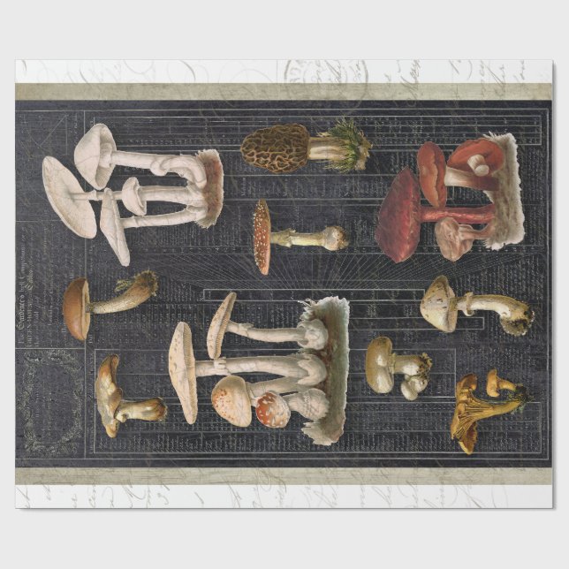 Papel De Presente Floresta Cogumelos Algodão Ephemera Black Decoupag (Aberto)