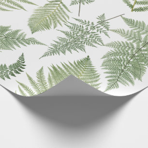 Papel De Presente Floresta Fern Fronds Vintage Greenery Botânica