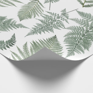 Papel De Presente Floresta Fern Fronds Vintage Greenery Botânica