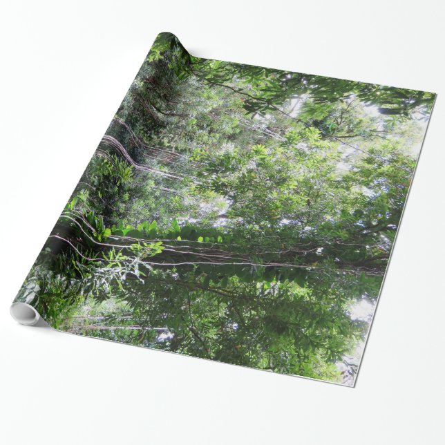 Papel De Presente Floresta húmida havaiana (Desenrolado)