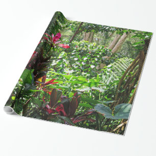 Papel De Presente Floresta húmida havaiana