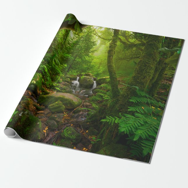 Papel De Presente floresta tropical asiática, floresta, ambiente (Desenrolado)