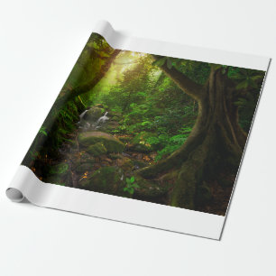 Papel De Presente floresta tropical asiática,terra,amazão,ásia