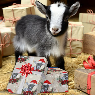 Papel De Presente Fofo natalino Pígmy Goat Poinsettia Wreath