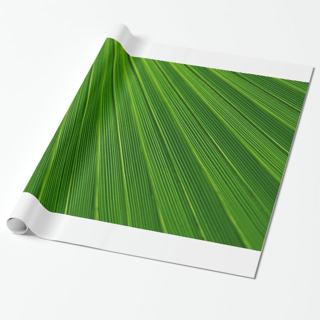 Papel De Presente Folha de Palmeira (Desenrolado)