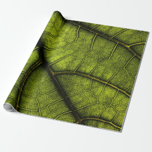 Papel De Presente Folha verde em fotografia fechada