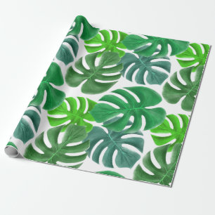 Papel De Presente Folhagem Folhas Tropicais Monstera