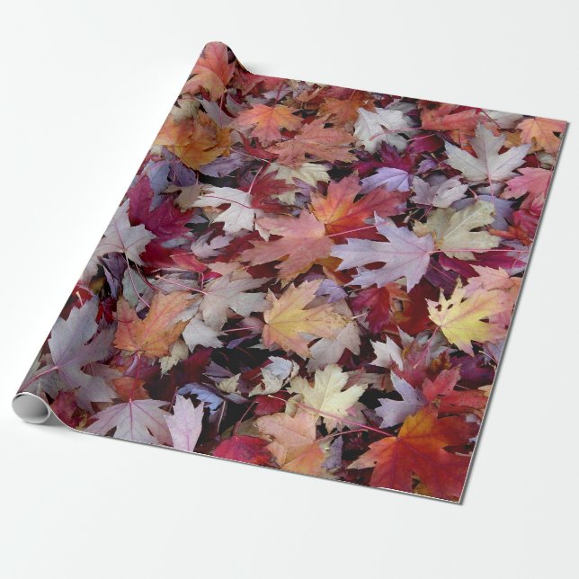 Papel De Presente Folhas Caídas de Árvores de Outono (Desenrolado)