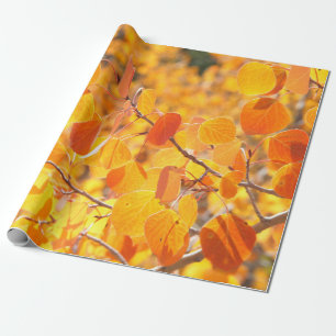 Papel De Presente Folhas de Aspen da queda