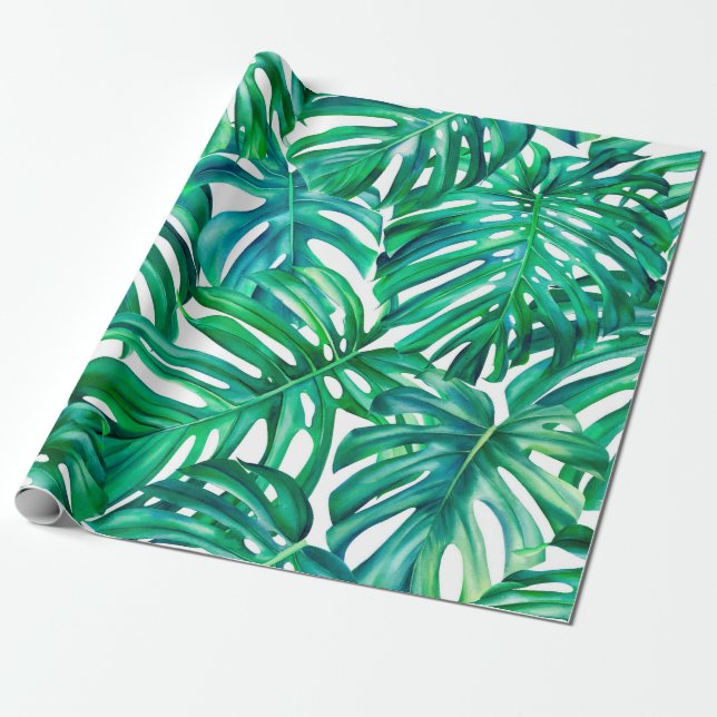 Papel De Presente Folhas de Monstera sobre fundo isolado, aquarela (Desenrolado)