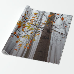Papel De Presente Folhas de outono caídas