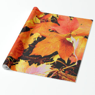 Papel De Presente Folhas de Outono Laranja Ousado Impressionante