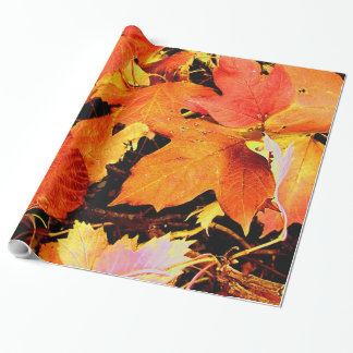 Papel De Presente Folhas de Outono Laranja Ousado Impressionante