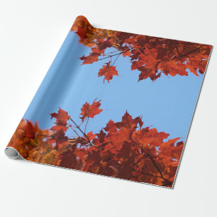Papel De Presente Folhas de outono Vermelhas e Céu Azul