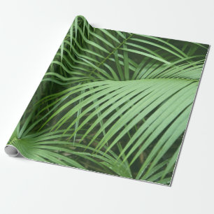Papel De Presente Folhas de Palma Verde Tema Natureza