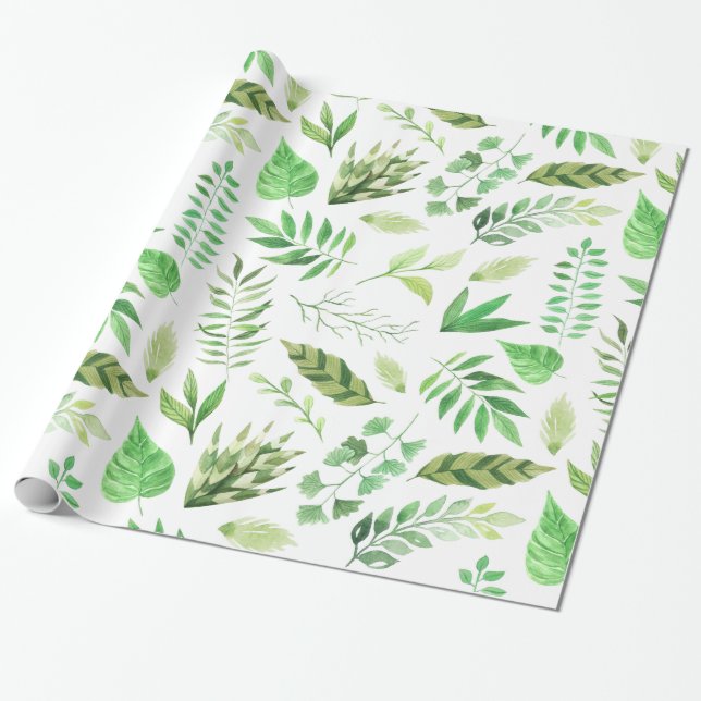 Papel De Presente Folhas Verde de Cores Aquáticas | (Desenrolado)