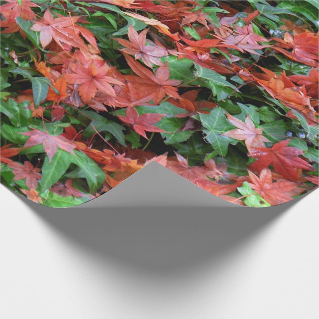 Papel De Presente Folhas - Vermelhas e Verdes  (Ponta)