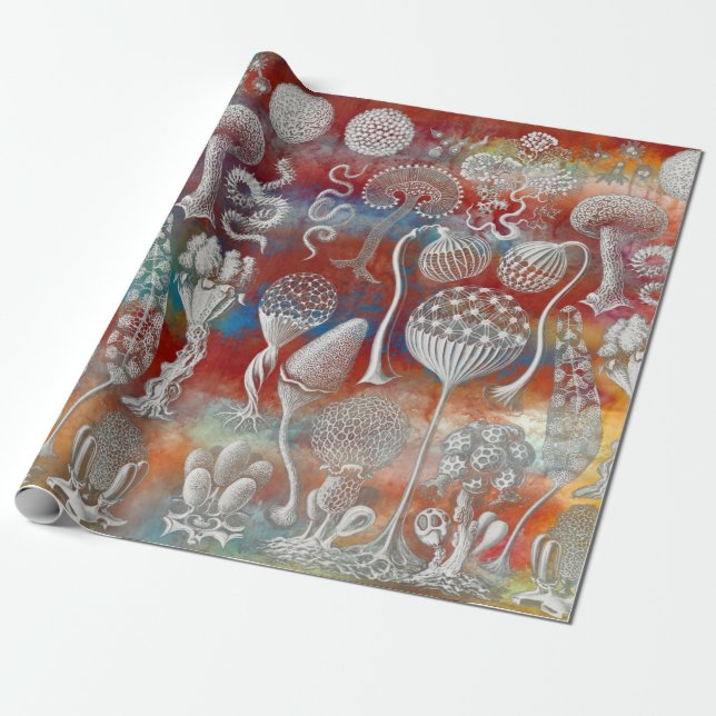 Papel De Presente Formas artísticas da natureza (Desenrolado)