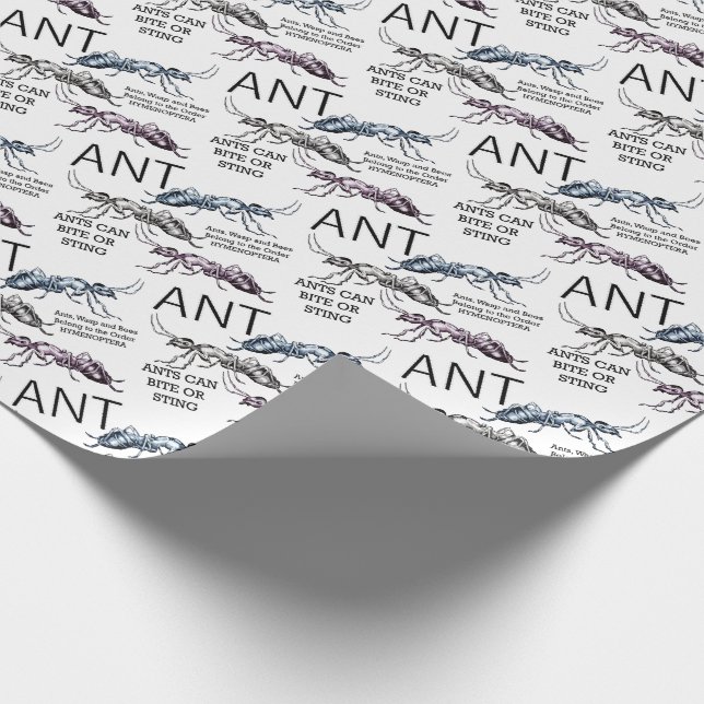 Papel De Presente Formigas Insetos Besouros (Ponta)