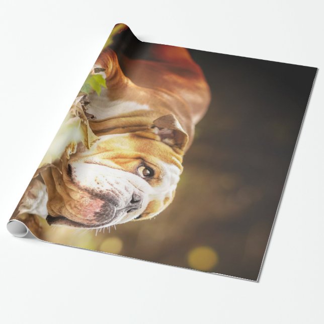 Papel De Presente Foto da Floresta do Bulldog Inglês (Desenrolado)